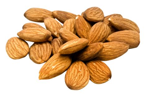 Group Of Almond Nuts Concept 12596336 Png