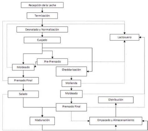 La Elaboración De Derivados Lácteos Como Alternativa Info Taringa