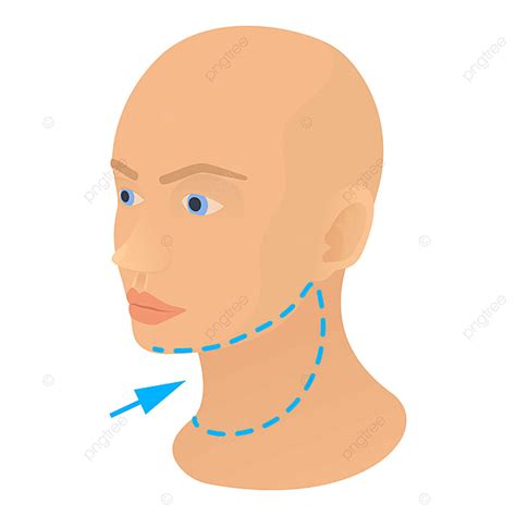 Neck Png Vector Psd And Clipart With Transparent Background For Free