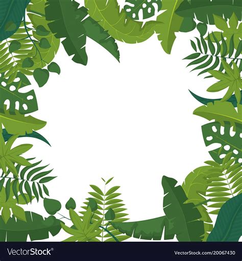 Tropical Leaves Frame Royalty Free Vector Image