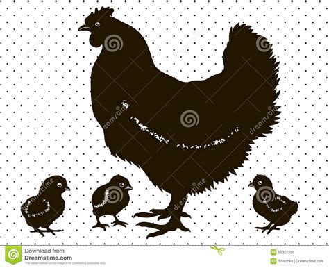 silhouettes chicken with three little chicks stock vector illustration of drawing brood 55327299