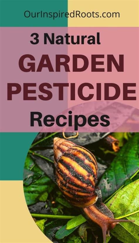 3 Natural Pesticides For The Garden Our Inspired Roots