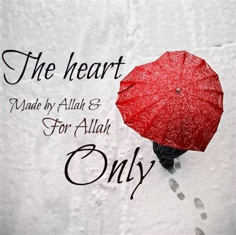 40 Beautiful Islamic Quotes About Love In English