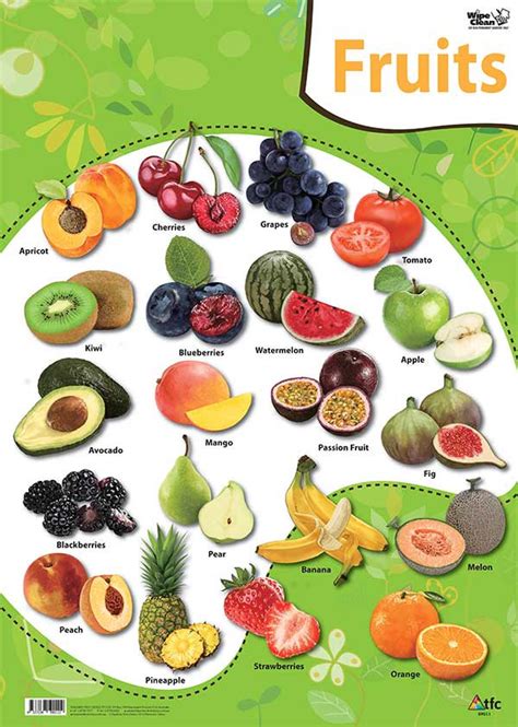 Fruits Poster Theedware