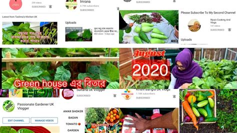 Shokher Bagan 2020 Top 50 Uk Bangladeshi Vegetable Gardeners The