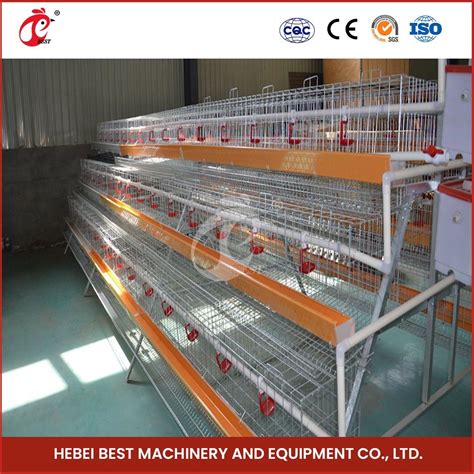 Bestchickencage China Chicken Brooder Layer Cage Supplier Custom