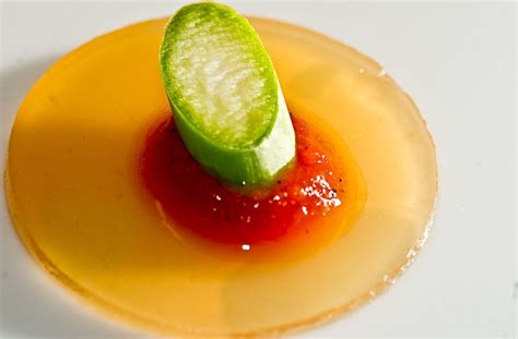 Molecular Gastronomy Recipes You Need To Be Logged In To Perform This