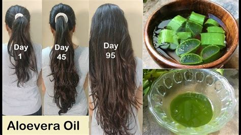 Homemade Aloevera Hair Oil For Double Hair Growth Aloevera Gel To Get