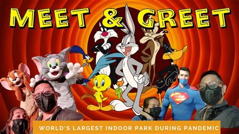 Meet And Greet With Looney Tunes And Justice League During Pandemic