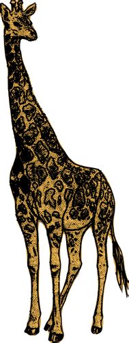 Beautiful Giraffe Public Domain Vectors