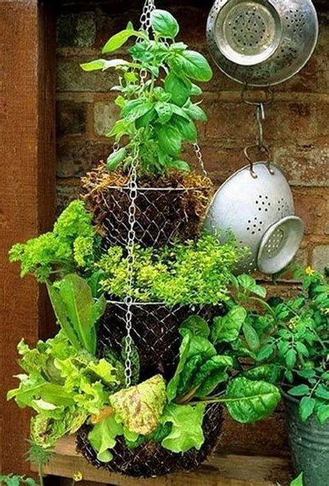 25 Best Indoor Garden Ideas For Your Home In Small Spaces Page 6 Of 26