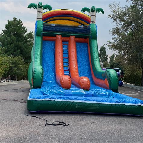 Mega Jungle Double Water Slide Bounce House Rentals And Water Slides