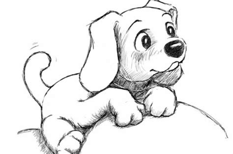 Как нарисовать собаку поэтапно для детей легко карандашом