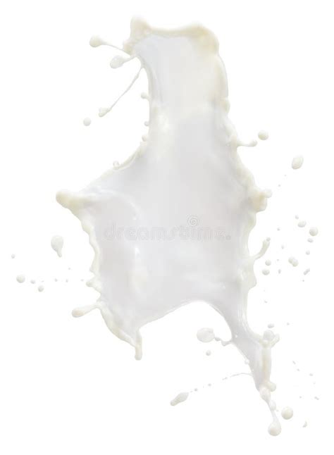 Milk Splash Isolated On A White Background Stock Photo Image Of