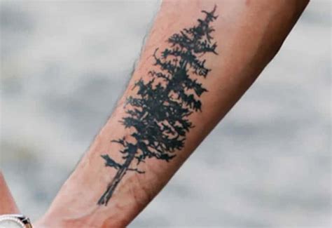 Pine Tree Tattoo Meaning Designs And Ideas