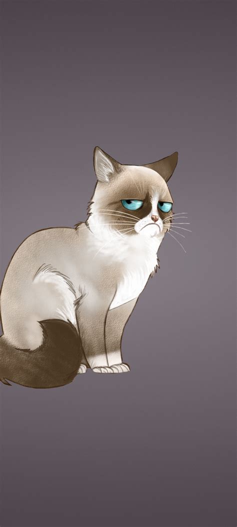 1080x2400 Grumpy Cat Meme Cat 1080x2400 Resolution Wallpaper Hd