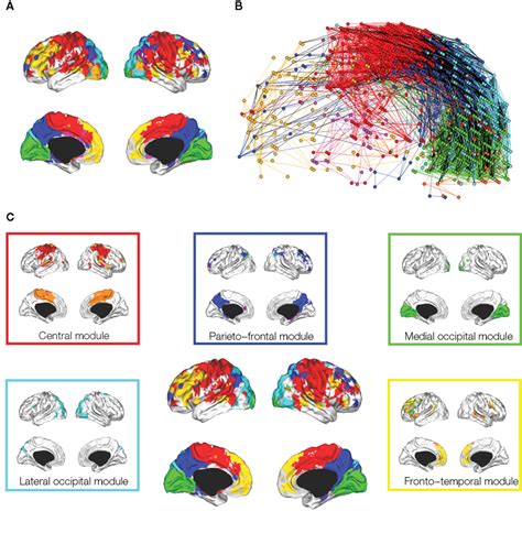 Hierarchical Modularity Of A Human Brain Functional Network A