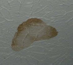 Popcorn ceiling repair and paint preparation. DIY: Dealing with water stains on a popcorn ceiling ...