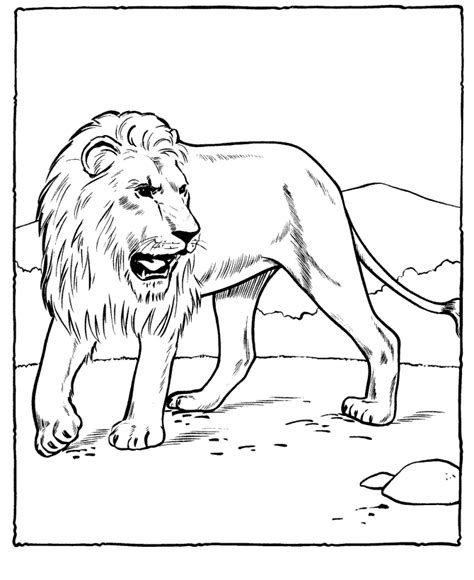 Realistic Lion Roaring Coloring Pages Coloring Pages