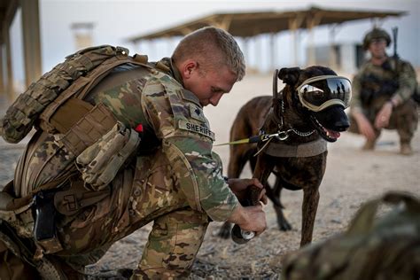 Dvids Images Military Working Dogs Wear Protective Equipment For