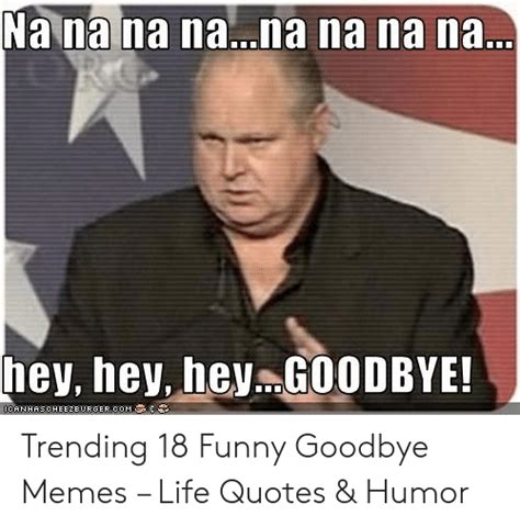The best memes from instagram, facebook, vine, and twitter about farewell meme. 25+ Best Memes About Funny Goodbye Memes | Funny Goodbye Memes