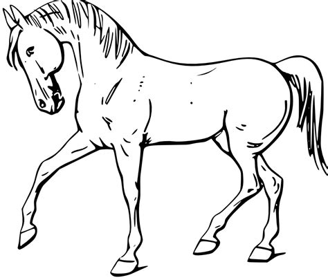We carefully collected 10 cliparts about horse clipart outline so you can use them for study, work, fun and entertainment for free. OnlineLabels Clip Art - Walking Horse Outline
