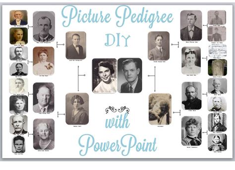 This video will show you where to find and. DIY Picture Pedigree Chart | Pedigree chart, Family tree ...