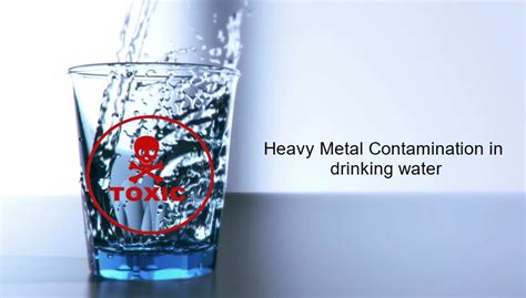 These metals are naturally present in the earth's crust, but over time and through various. Effects of Toxic Metal Contamination in Drinking Water