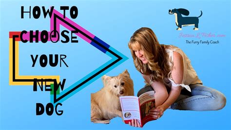 How To Choose Your Next Dog Youtube