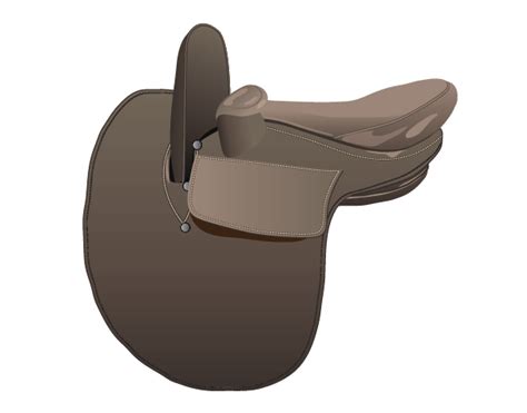 Horse Saddles And Parts Guide Free Saddle Learning Games Allpony