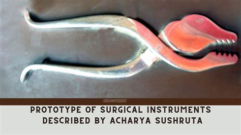 Surgical Instruments Described In Sushruta Samhita Ayurved360