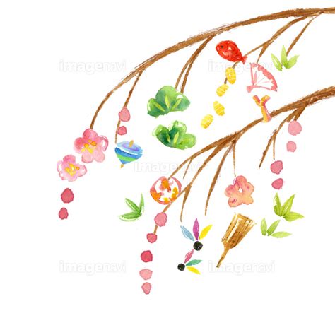 【水彩画 餅花】の画像素材(12409612) | イラスト素材ならイメージナビ