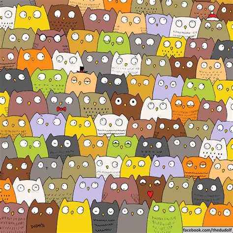 Can You Spot The Cat Find The Cat Picture Puzzle Can You Find It