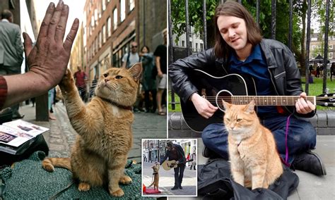 A Street Cat Named Bob Full Movie ⊗ A Street Cat Named Bob Full Movie