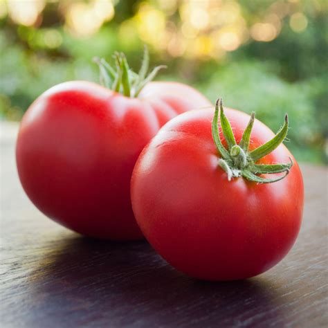 Tomato Seeds Marglobe Vegetable Seeds In Packets And Bulk Eden Brothers