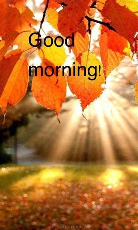 Good Morning Fall Images And Quotes Sarawak Reports