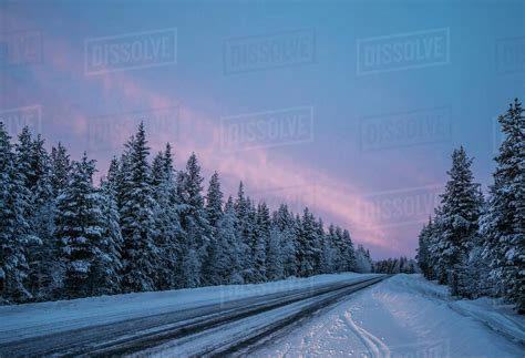 Remote Winter Road Through Snow Covered Forest Trees Lapland Finland