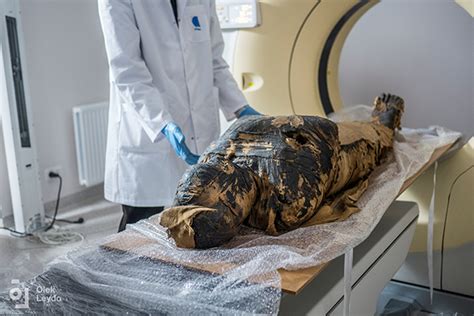 polish scientists discover ancient egyptian mummy was pregnant woman
