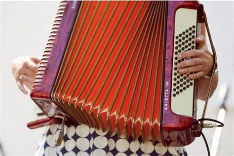 92 Best Accordion Images On Pinterest Music Instruments Musical