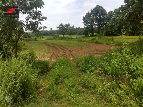 The cheapest offer starts at ksh 20,000. Agricultural land on budget for sale Palakkad, Kozhinjampara