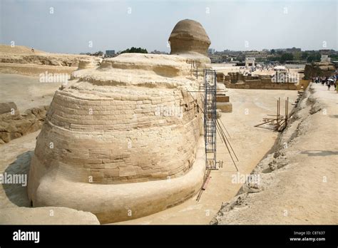 Back Of Sphinx Egypt Hi Res Stock Photography And Images Alamy