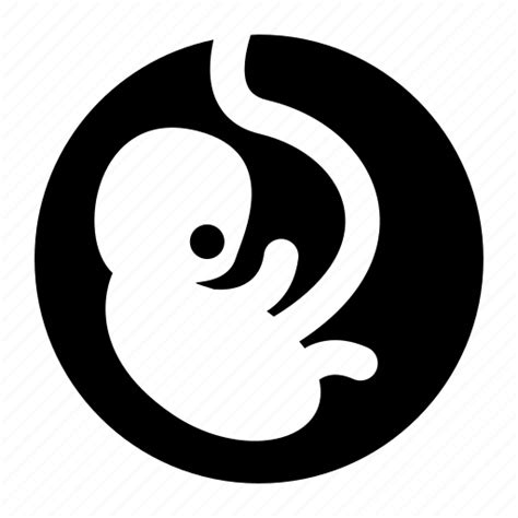 Baby Fetus Human Womb Icon Download On Iconfinder