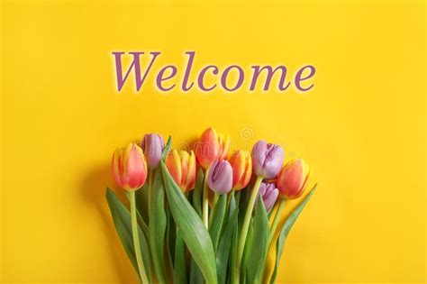 Welcome Card Beautiful Tulip Flowers And Word On Yellow Background