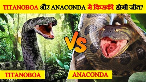 क्या होगा जब Titanoboa और Anaconda आपस में भिड़ेंगे Titanoboa Vs