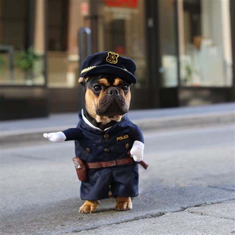 Cute Police Officer Dog Costume Costume Yeti