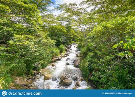 Costa Rica River In The Jungle Stock Image Image Of Flow River
