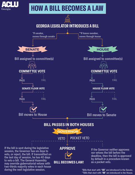 Legislative Process Aclu Of Georgia