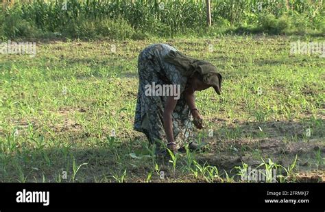 Farmers Stock Videos And Footage Hd And 4k Video Clips Alamy