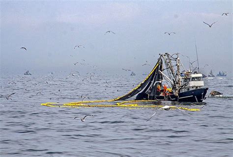 Pesca Industrial Uruguay Visión Marítima