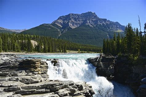 滝、 アサバスカ滝、 カナダ、 森林、 ジャスパー国立公園、 山、 自然、 川、 岩、 滝、 Hdデスクトップの壁紙